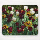 Search for yellow tulip mousepads Garden