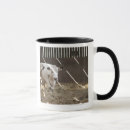 Search for dairy cow mugs Agriculture