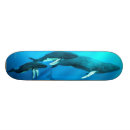 Search for whale skateboards Underwater