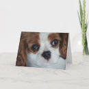 Search for mail christmas cards Send
