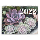 Search for succulent plant office supplies Botanical