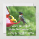 Search for throat invitations Ruby throated hummingbird