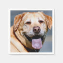 Search for labrador napkins Yellow