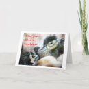 Search for birth mother cards Adoption