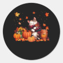 Search for autumn cat stickers Thanksgiving