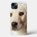 Search for labrador ipad cases Cute