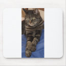 Search for regale mousepads Pets