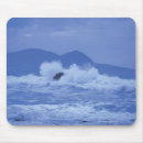 Search for rocky shore Nature