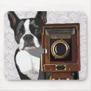 Search for boston terrier mousepads Steampunk