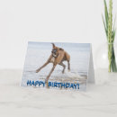 Search for boxer dog birthday cards Cute