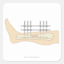 Search for doctor office stickers People