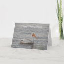 Search for pelican cards Water