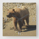 Search for grizzly bear clocks Animal lovers