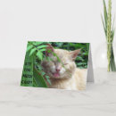 Search for ginger cat birthday cards Orange