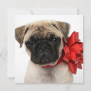 Search for wraps cards Pug