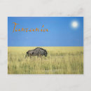 Search for gnu postcards Nature