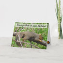 Search for funny squirrel birthday cards Humor