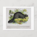 Search for pub postcards Illustration