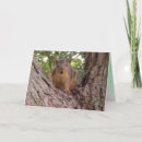 Search for tree squirrel cards Cute