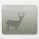 Search for mysterious mousepads Fog