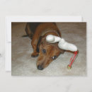 Search for dashund cards Dachsie