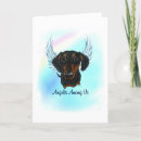 Search for dachshund angel postcards Dog