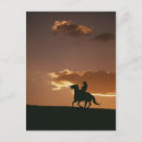 Search for galloping postcards Cowboy