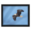 Search for eagle power posters Symbolic