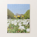Search for tulip puzzles Flowers