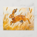 Search for hare paintings postcards Watercolor
