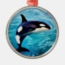 Search for orca christmas tree decorations Marine
