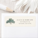 Search for oak tree Nature