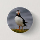 Search for puffin badges Bird