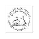 Search for cute rubber duck Goose