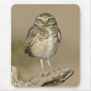Search for birders mousepads Animal