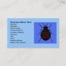Search for bed bug Exterminator