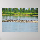 Search for danube posters Landscape