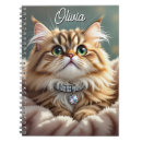 Search for tabby cat notebooks Fluffy