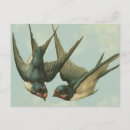 Search for bird mother cards Retro