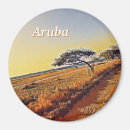 Search for aruba magnets Landscape