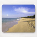 Search for st martin electronics Caribbean