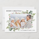 Search for winter berries christmas cards Elegant