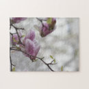 Search for spring cherry blossom Nature