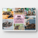 Search for cat memorial plaques Photo collage