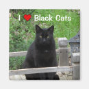 Search for black cat and bridge Kitty
