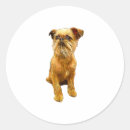 Search for griffon stickers Animal
