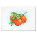 Search for aromatherapy posters Illustration