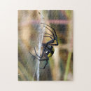Search for spider web puzzles Arachnid