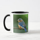 Search for eastern bluebird mugs Nature