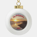 Search for beach ball christmas tree decorations Dog
